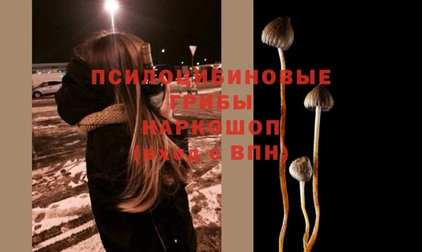 дурь Долгопрудный