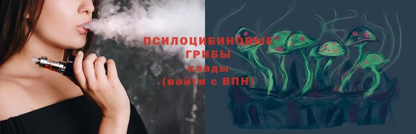 ПСИЛОЦИБИНОВЫЕ ГРИБЫ Аркадак