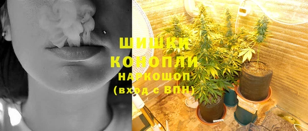 спайс Алексин