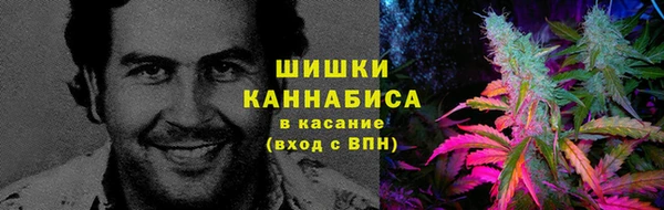 ПСИЛОЦИБИНОВЫЕ ГРИБЫ Аркадак