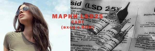 ПСИЛОЦИБИНОВЫЕ ГРИБЫ Аркадак