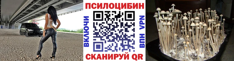 Галлюциногенные грибы GOLDEN TEACHER  цена наркотик  Балей 